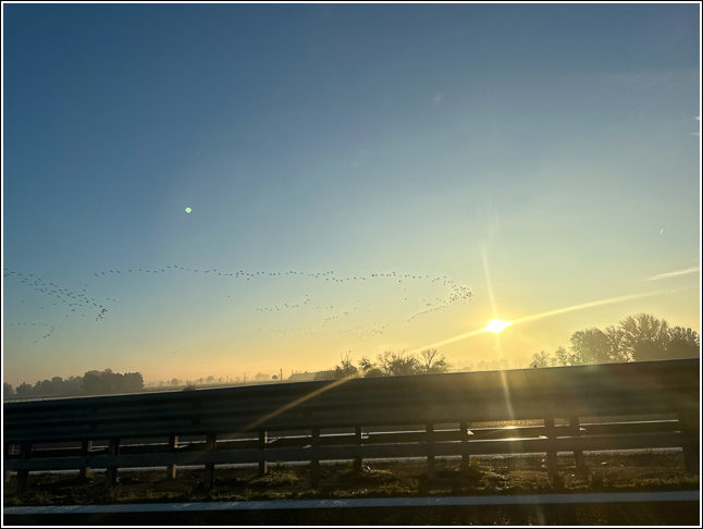 Buon Anno❣️よいお年を